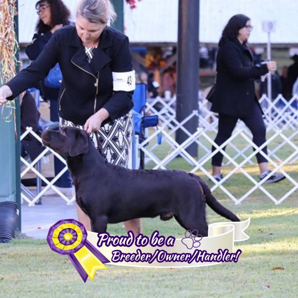 Meet your Posher, Rebecca